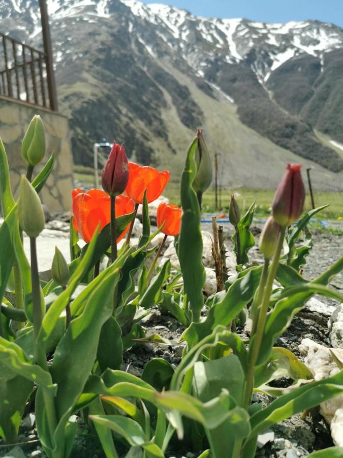 Hotel Diamond Kazbegi Exteriér fotografie